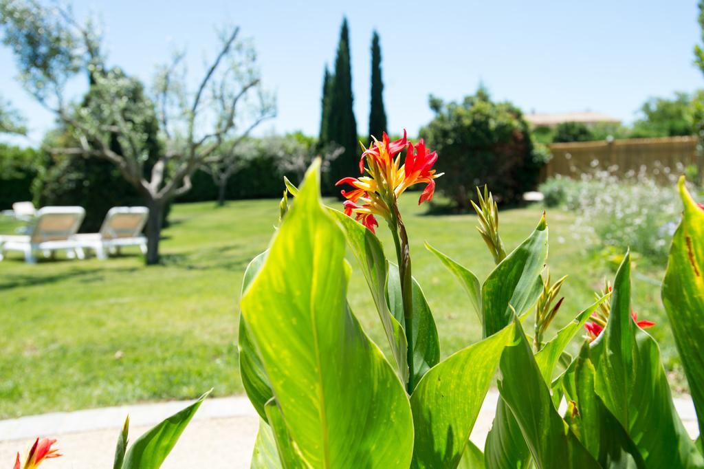 Best Western Hotel Aurelia Maussane-les-Alpilles Exteriér fotografie
